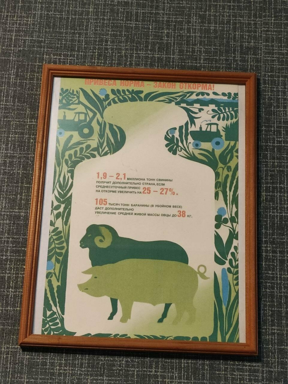 Гостиница Дом колхозника Торжок-104