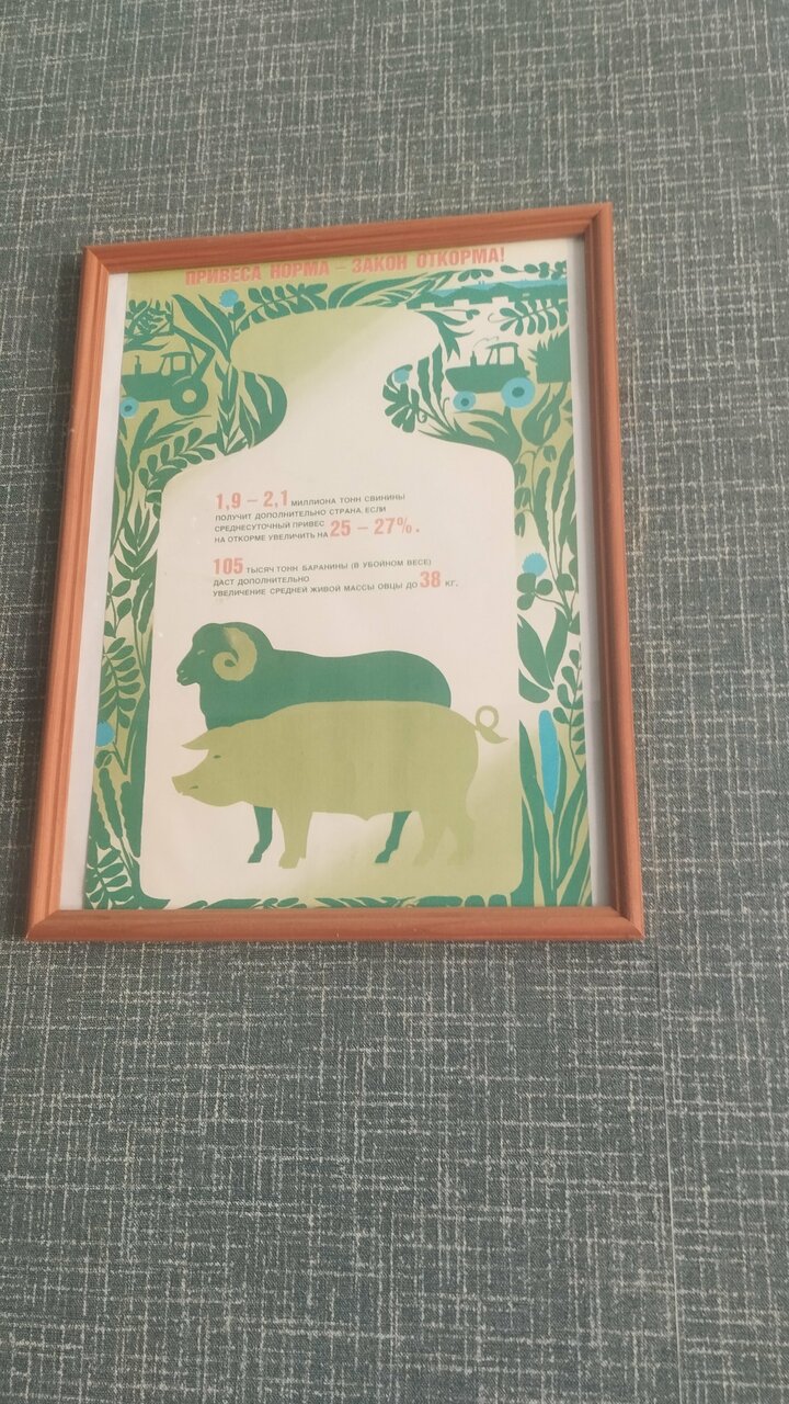 Гостиница Дом колхозника Торжок-101