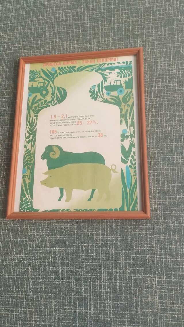 Гостиница Дом колхозника Торжок-100