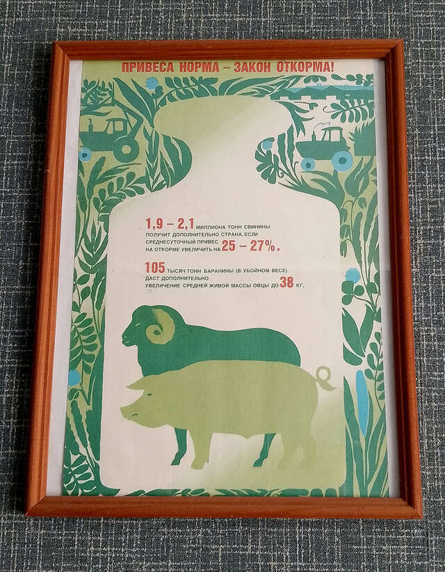 Гостиница Дом колхозника Торжок-59